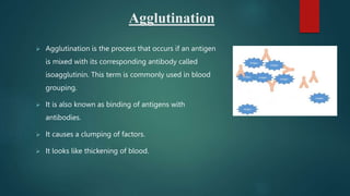 Agglutination Process Blood groups PPT - Lakshita Kumari.pptx