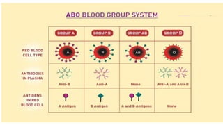 Blood grouping and  their significance