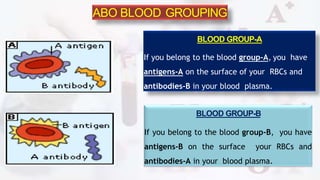 ABO BLOOD GROUPING
BLOOD GROUP-A
If you belong to the blood group-A, you have
antigens-A on the surface of your RBCs and
antibodies-B in your blood plasma.
BLOOD GROUP-B
If you belong to the blood group-B, you have
antigens-B on the surface your RBCs and
antibodies-A in your blood plasma.
 