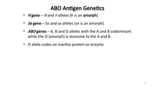 Comprehensive Overview of the ABO Blood Group System and Its Clinical ...