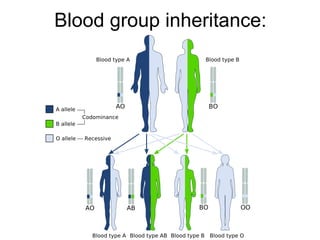 Blood in forensics | PPT