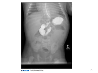 25
Source undetermined
 