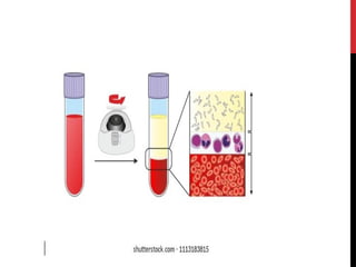 Blood & Plasma ,Introduction - Physiology - PPT | PPTX