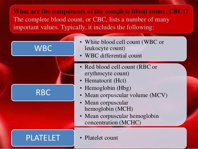 What does an elevated WBC count indicate?
