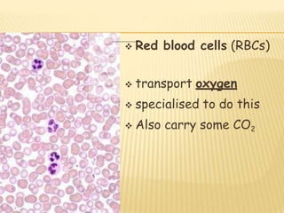  Red blood cells (RBCs)
 transport oxygen
 specialised to do this
 Also carry some CO2
 