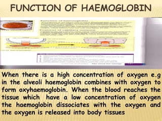 When there is a high concentration of oxygen e.g
in the alveoli haemoglobin combines with oxygen to
form oxyhaemoglobin. When the blood reaches the
tissue which have a low concentration of oxygen
the haemoglobin dissociates with the oxygen and
the oxygen is released into body tissues
FUNCTION OF HAEMOGLOBIN
 