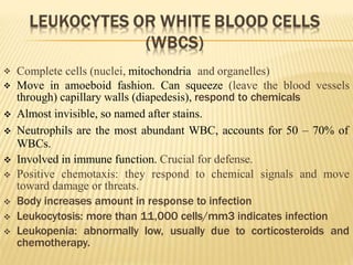 

Complete cells (nuclei, mitochondria and organelles)
Move in amoeboid fashion. Can squeeze (leave the blood vessels
through) capillary walls (diapedesis), respond to chemicals
 Almost invisible, so named after stains.
 Neutrophils are the most abundant WBC, accounts for 50 – 70% of
WBCs.
 Involved in immune function. Crucial for defense.
 Positive chemotaxis: they respond to chemical signals and move
toward damage or threats.
 Body increases amount in response to infection
 Leukocytosis: more than 11,000 cells/mm3 indicates infection
 Leukopenia: abnormally low, usually due to corticosteroids and
chemotherapy.
 