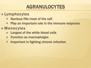  Lymphocytes


Nucleus fills most of the cell
Play an important role in the immune response
 Monocytes



Largest of the white blood cells
Function as macrophages
Important in fighting chronic infection
 
