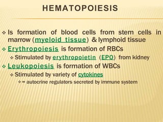 HEMATOPOIESIS
 Is formation of blood cells from stem cells in
marrow (myeloid tissue) & lymphoid tissue
 Erythropoiesis is formation of RBCs
 Stimulated by erythropoietin (EPO) from kidney
 Leukopoiesis is formation of WBCs
 Stimulated by variety of cytokines
 = autocrine regulators secreted by immune system
 
