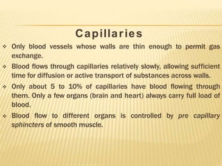 Capillaries




Only blood vessels whose walls are thin enough to permit gas
exchange.
Blood flows through capillaries relatively slowly, allowing sufficient
time for diffusion or active transport of substances across walls.
Only about 5 to 10% of capillaries have blood flowing through
them. Only a few organs (brain and heart) always carry full load of
blood.
Blood flow to different organs is controlled by pre capillary
sphincters of smooth muscle.
 