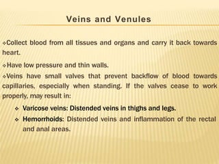 Veins and Venules
Collect blood from all tissues and organs and carry it back towards
heart.
Have low pressure and thin walls.
Veins have small valves that prevent backflow of blood towards
capillaries, especially when standing. If the valves cease to work
properly, may result in:

 Varicose veins: Distended veins in thighs and legs.
Hemorrhoids: Distended veins and inflammation of the rectal
and anal areas.
 