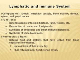 Lymphatic and Immune System
Components: Lymph, lymphatic vessels, bone marrow, thymus,
spleen, and lymph nodes.
Functions:




Defends against infection: bacteria, fungi, viruses, etc.
Destruction of cancer and foreign cells.
Synthesis of antibodies and other immune molecules.
Synthesis of white blood cells.
Homeostatic Role:
 Returns fluid and proteins that have leaked from blood
capillaries into tissues.


Up to 4 liters of fluid every day.
Fluid returned near heart/venae cavae.
 