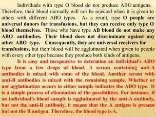Individuals with type O blood do not produce ABO antigens.
Therefore, their blood normally will not be rejected when it is given to
others with different ABO types. As a result, type O people are
universal donors for transfusions, but they can receive only type O
blood themselves.
ABO antibodies.
other ABO type.
Those who have type AB blood do not make any
Their blood does not discriminate against any
Consequently, they are universal receivers for
transfusions, but their blood will be agglutinated when given to people
with every other type because they produce both kinds of antigens.
It is easy and inexpensive to determine an individual's ABO
type from a few drops of blood. A serum containing anti-A
antibodies is mixed with some of the blood. Another serum with
anti-B antibodies is mixed with the remaining sample. Whether or
not agglutination occurs in either sample indicates the ABO type. It
is a simple process of elimination of the possibilities. For instance, if
an individual's blood sample is agglutinated by the anti-A antibody,
but not the anti-B antibody, it means that the A antigen is present
but not the B antigen. Therefore, the blood type is A.
 