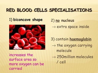 RED BLOOD CELLS SPECIALISATIONS 2)  no  nucleus    extra space inside 3) contain  haemoglobin    the oxygen carrying molecule    250million molecules / cell 1)  biconcave shape increases the surface area so more oxygen can be carried 