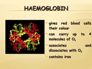 HAEMOGLOBIN gives red blood cells their colour  can carry up to 4 molecules of O 2   associates and dissociates with O 2 contains iron 