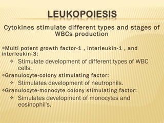 Cytokines stimulate different types and stages of WBCs production Multi potent growth factor-1 , interleukin-1 , and interleukin-3: Stimulate development of different types of WBC cells. Granulocyte-colony stimulating factor: Stimulates development of neutrophils. Granulocyte-monocyte colony stimulating factor: Simulates development of monocytes and eosinophil's. 
