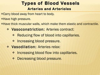 Types of Blood Vessels Arteries and Arterioles  Carry blood away from heart to body.  Have high pressure. Have thick muscular walls, which make them elastic and contractile. Vasoconstriction:  Arteries contract: Reducing flow of blood into capillaries. Increasing blood pressure. Vasodilation:  Arteries relax: Increasing blood flow into capillaries. Decreasing blood pressure . 