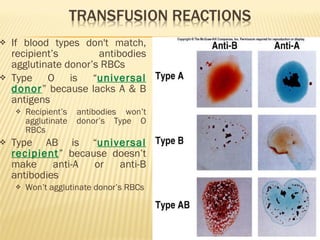 If blood types don't match, recipient’s antibodies agglutinate donor’s RBCs  Type O is “ universal donor ” because lacks A & B antigens Recipient’s antibodies won’t agglutinate donor’s Type O RBCs Type AB is “ universal recipient ” because doesn’t make anti-A or anti-B antibodies Won’t agglutinate donor’s RBCs Insert fig. 13.6 