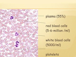 plasma (55%) red blood cells (5-6-million /ml) white blood cells (5000/ml) platelets 