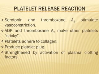 Serotonin and thromboxane A 2  stimulate vasoconstriction. ADP and thromboxane A 2  make other platelets “sticky”. Platelets adhere to collagen.  Produce platelet plug. Strengthened by activation of plasma clotting factors.  