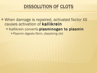When damage is repaired, activated factor XII causes activation of  kallikrein  Kallikrein converts  plasminogen to plasmin Plasmin digests fibrin, dissolving clot 