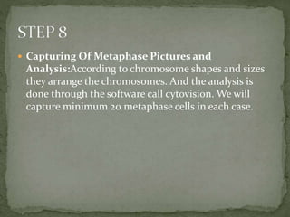 BLOOD KARYOTYPING: WHOLE BLOOD KARYOTYPING PROCESS | PPTX