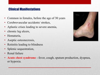 • Common in females, before the age of 30 years
• Cerebrovascular accidents/ strokes,
• Aplastic crises leading to severe anemia,
• chronic leg ulcers,
• Hematuria,
• Aseptic osteonecrosis,
• Retinitis leading to blindness
• Splenic sequestration,
• Renal failure
• Acute chest syndrome - fever, cough, sputum production, dyspnea,
or hypoxia.
Clinical Manifestations
 
