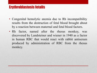 Erythroblastosis fetalis
• Congenital hemolytic anemia due to Rh incompatibility
results from the destruction of fetal blood brought about
by a reaction between maternal and fetal blood factors.
• Rh factor, named after the rhesus monkey, was
discovered by Landsteiner and wiener in 1940 as a factor
in human RBC that would react with rabbit antiserum
produced by administration of RBC from the rhesus
monkey.
 