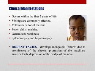 Clinical Manifestations
• Occurs within the first 2 years of life.
• Siblings are commonly affected.
• Yellowish pallor of the skin
• Fever, chills, malaise,
• Generalized weakness
• Splenomegaly and hepatomegaly
• RODENT FACIES- develops mongoloid features due to
prominence of the cheeks, protrusion of the maxillary
anterior teeth, depression of the bridge of the nose.
 