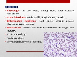 Neutrophilia
• Physiologic- in new born, during labor, after exercise,
convulsions
• Acute infections- certain bacilli, fungi, viruses, parasites.
• Inflammatory conditions- Gout, Burns, Vascular disease,
Hypersensitivity reactions
• Intoxications- Uremia, Poisoning by chemicals and drugs- lead,
mercury.
• Acute hemorrhage
• Acute hemolysis
• Polycythemia, myelotic leukemia.
 