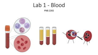 Lab 1 - Blood
PNB 2265
 