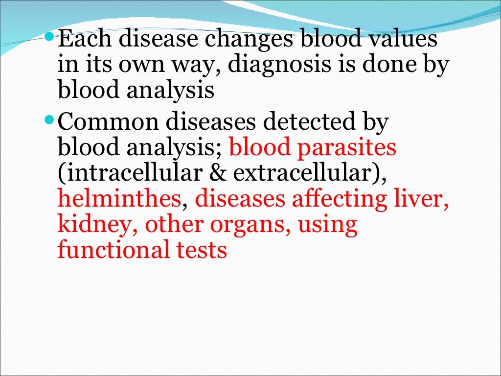 types of blood essay