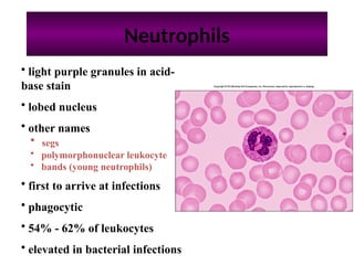 blood, how blood work in body and how nutrition work | PPTX