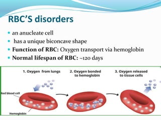 Comprehensive Overview of Hematopoiesis and Anemia Disorders | PDF