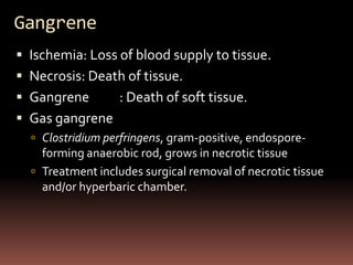 Gangrene
 Ischemia: Loss of blood supply to tissue.
 Necrosis: Death of tissue.
 Gangrene        : Death of soft tissue.
 Gas gangrene
   Clostridium perfringens, gram-positive, endospore-
    forming anaerobic rod, grows in necrotic tissue
   Treatment includes surgical removal of necrotic tissue
    and/or hyperbaric chamber.
 
