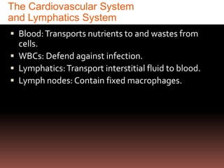 The Cardiovascular System
and Lymphatics System
 Blood: Transports nutrients to and wastes from
  cells.
 WBCs: Defend against infection.
 Lymphatics: Transport interstitial fluid to blood.
 Lymph nodes: Contain fixed macrophages.
 