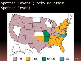 Spotted Fevers (Rocky Mountain
Spotted Fever)




                                 Figure 23.16
 