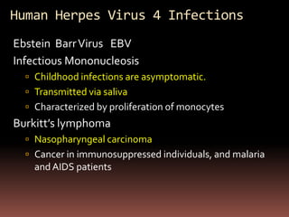 Human Herpes Virus 4 Infections
Ebstein Barr Virus EBV
Infectious Mononucleosis
   Childhood infections are asymptomatic.
   Transmitted via saliva
   Characterized by proliferation of monocytes
Burkitt’s lymphoma
   Nasopharyngeal carcinoma
   Cancer in immunosuppressed individuals, and malaria
    and AIDS patients
 