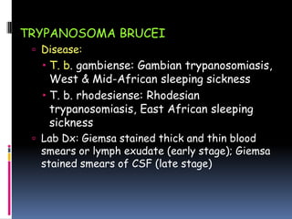 TRYPANOSOMA BRUCEI
  Disease: African trypanosomiasis
    T. b. gambiense: Gambian trypanosomiasis,
     West & Mid-African sleeping sickness
    T. b. rhodesiense: Rhodesian
     trypanosomiasis, East African sleeping
     sickness
  Lab Dx: Giemsa stained thick and thin blood
  smears or lymph exudate (early stage); Giemsa
  stained smears of CSF (late stage)
 