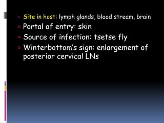  Site in host: lymph glands, blood stream, brain
 Portal of entry: skin
 Source of infection: tsetse fly
 Winterbottom’s sign: enlargement of
 posterior cervical LNs
 