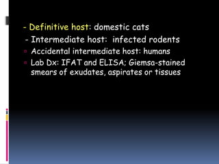 - Definitive host: domestic cats
 - Intermediate host: infected rodents
 Accidental intermediate host: humans
 Lab Dx: IFAT and ELISA; Giemsa-stained
 smears of exudates, aspirates or tissues
 