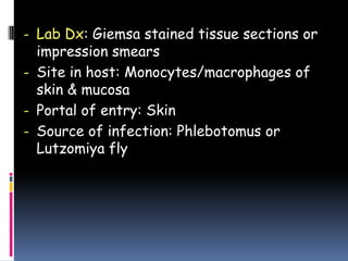 - Lab Dx: Giemsa stained tissue sections or
  impression smears
- Site in host: Monocytes/macrophages of
  skin & mucosa
- Portal of entry: Skin
- Source of infection: Phlebotomus or
  Lutzomiya fly
 