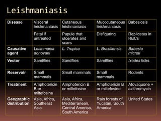 Leishmaniasis
Disease        Visceral        Cutaneous          Mucocutaneous Babesiosis
               leishmaniasis   leishmaniasis      leishmaniasis
               Fatal if        Papule that        Disfiguring       Replicates in
               untreated       ulcerates and                        RBCs
                               scars
Causative      Leishmania      L. Tropica         L. Braziliensis   Babesia
agent          donovani                                             microti
Vector         Sandflies       Sandflies          Sandflies         Ixodes ticks

Reservoir      Small           Small mammals      Small             Rodents
               mammals                            mammals
Treatment      Amphotericin    Amphotericin B     Amphotericin B    Atovaquone +
               B or            or miltefosine     or miltefosine    azithromycin
               miltefosine
Geographic     Asia, Africa,   Asia, Africa,      Rain forests of   United States
distribution   Southeast       Mediterranean,     Yucatan, South
               Asia            Central America,   America
                               South America
 
