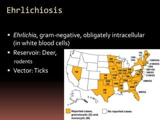 Ehrlichiosis

 Ehrlichia, gram-negative, obligately intracellular
  (in white blood cells)
 Reservoir: Deer,
  rodents
 Vector: Ticks




                                                  Figure 23.15
 