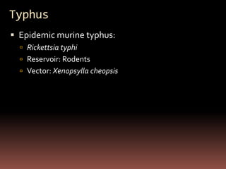 Typhus
 Epidemic murine typhus:
   Rickettsia typhi
   Reservoir: Rodents
   Vector: Xenopsylla cheopsis
 