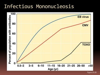 Infectious Mononucleosis




                           Figure 23.20
 