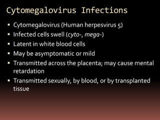 Cytomegalovirus Infections
 Cytomegalovirus (Human herpesvirus 5)
 Infected cells swell (cyto-, mega-)
 Latent in white blood cells
 May be asymptomatic or mild
 Transmitted across the placenta; may cause mental
  retardation
 Transmitted sexually, by blood, or by transplanted
  tissue
 