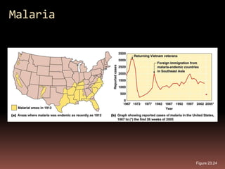 Malaria




          Figure 23.24
 
