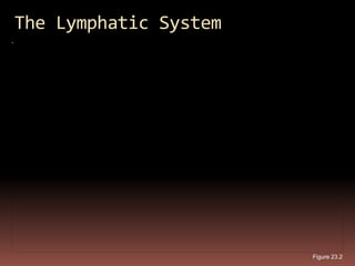 The Lymphatic System




                       Figure 23.2
 