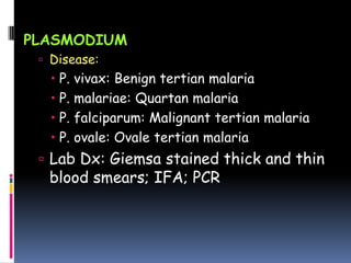 PLASMODIUM
  Disease: Malaria
    P. vivax: Benign tertian malaria
    P. malariae: Quartan malaria
    P. falciparum: Malignant tertian malaria
    P. ovale: Ovale tertian malaria
  Lab Dx: Giemsa stained thick and thin
  blood smears; IFA; PCR
 